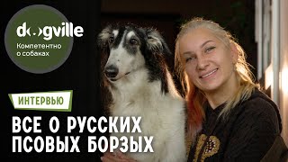 Русские псовые борзые – все, что вы хотели знать – Интервью с руководителем питомника