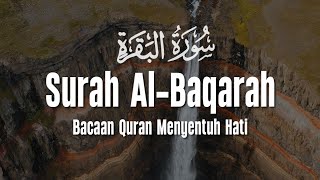 SURAH AL BAQARAH | Setan Kabur dari Rumah | Penenang Hati dan Pikiran | Ahmad Abdel Sattar