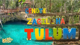 This Cenote is Phenomenal! Leh We Go Zacil-Ha in Mexico