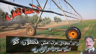 دبئ اور سعودی عرب میں فصلوں کو کیسے سیراب کرتی ہے|How to irrigate crops in Dubai and Saudi Arabia