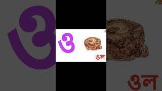 বাংলা বর্ণমালা- #short  #alphabet #বর্ণমালা #shortsvideo #শিক্ষা