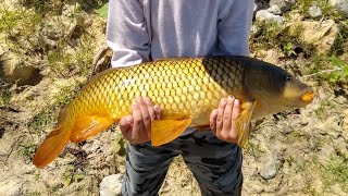 San Diego, California Fishing [Bass, Carp, Bluegill] Pesca de lobina, carpa y mojarra