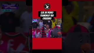 Gol de Pedro em linda jogada de Gerson! #flamengo #futebol #gols #mengão #short #shorts #shortvideo