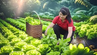 How to Harvest Mustard Greens, goes To Market Sell - Harvesting and Cooking |Tieu Vy Daily Life