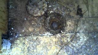 Clogged Floor Drain