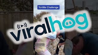 Friends Trying the Tortilla Trend Hilariously Fail || ViralHog