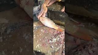 Beautiful Orange Carp Fish Cutting; Live Fish Cutting Skills In Bangladesh Fish Market #shorts