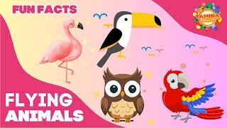 Flying Animals for Kids : Flamingo, Owl, Parrot, Toucan | Educational Videos for Kids