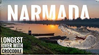 The Narmada River - Bhedaghat || Jabalpur India Bhedaghat || Attacked by Crocodile in Narmada River