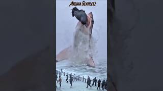 The largest megalodon shark in the world