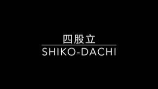 Shiko dachi is used during application of techniques