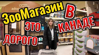 Шопинг в Канаде// Выбираем переноску для кошки// Как это иметь питомцев в Канаде