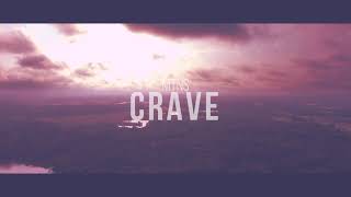 MTNS - Crave