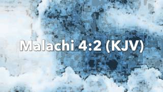 God's Time:  Malachi 4:2 (KJV)