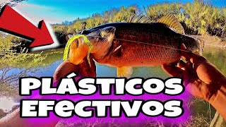 Estos plásticos son muy efectivos de orilla | Pesca de lobina de Orilla