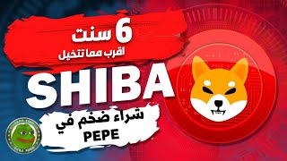 عمله الشيبا الي  6 سنت والبيتكوين الي 80 الف دولار 🔥shib