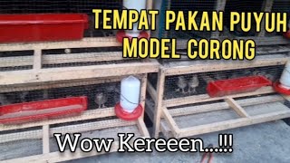 Mencoba Tempat Pakan Puyuh Plastik Model Corong