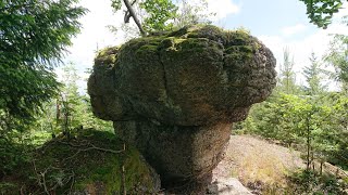 #25 Die Grenzen des Waldviertels (Langschlägerwald, Abspann - Käferschlag, Muckenbach)