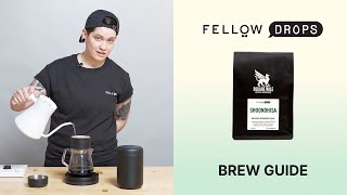 Fellow's Take on Shoondhisa from Square Mile | Brew Guide