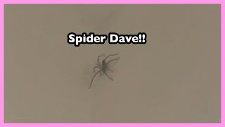 Tubbo made a song about Spider Dave #shorts