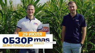 Кукуруза и подсолнечник MAS Seeds + листовое питание Polydon - Часть 2