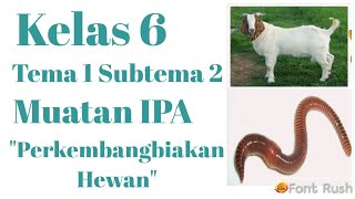 Kelas 6 Tema 1 Subtema 2 IPA / Perkembangbiakan Hewan