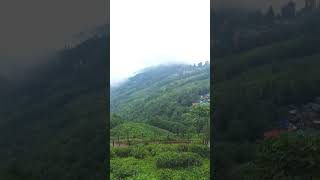 Darjeeling #vlog #dargeeling #westbengal