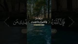 أَفَمَن زُيِّنَ لَهُ سُوءُ عَمَلِهِ فَرَآهُ حَسَنًا #سورة_فاطر #خالد_الجليل #قرآن #quran #shorts