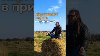 Круговорот кармы в природе