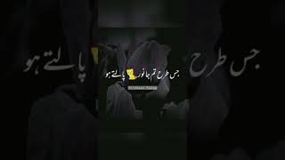 💕Jab koi banda sadqa deta hai || ❤Beautiful Byan Status || Sakib Raza Mustafai || #byan #sadqa #yt