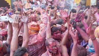 Live द्वारकाधीश श्री कृष्ण होली Live Video from dwarkadheesh mathura holi