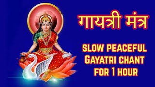 Gayatri Mantra Peaceful Chant 1 Hour | गायत्री मंत्र Slow Peaceful | Gaitri Mantra Jaap