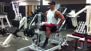 Seated Calf Raise - Toes Straight