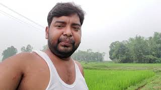 আমাদের ভিডিওর কমেন্ট বার বার অফ হয়ে যায় কেন \ Simple Village Life \ Our village life