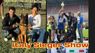 German Shepherd Italy Sieger Show #germanshepherd #doglover #dogshow2024