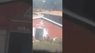 Police beating university students in Kenya