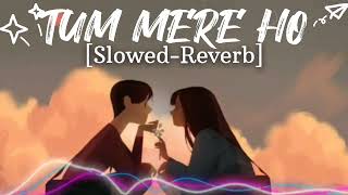 Tum Mere Ho || Slowed-Reverb ||  Jubin Nautiyal || Hate Story 4 ||