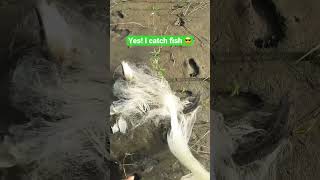 Traditional cast net fishing latest video