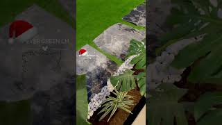 🌿 Instalación de pasto sintético y jardín natural #losmochis #sinaloa #viral #youtube #reels #hogar