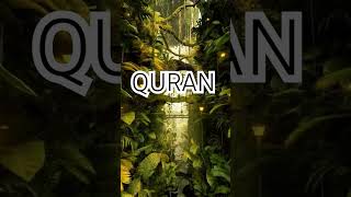 Surah Maidah Ayat No 110 urdu translation #shorts#video#viral #islamic#ytshorts