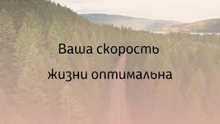 Ваша скорость жизни оптимальна