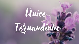 único: Fernandinho