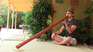 "SG008" Yucca Didgeridoo by Steve Goode