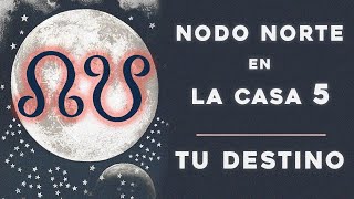 Nodo Norte en la Casa 5, Nodo Sur en la Casa 11 - Astrología Evolutiva