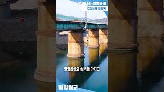 [밀양강철교] 120년, 한 세기의 역사 동안 경부선 철길을 이어준 경상남도 밀양시의 밀양강 철교 [우리나라 방방곳곳 #1]