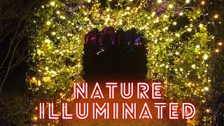 Nature Illuminated | Groot Bijgaarden | Belgium | नेत्रदीपक "Nature Illuminated" कार्यक्रम, बेल्जियम