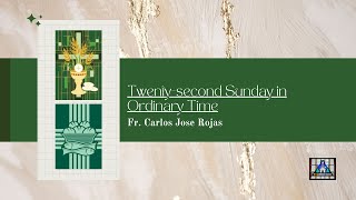 Twenty-second Sunday in Ordinary Time - Homily