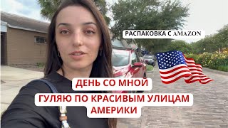 Прогулка по американскому городу Распаковка товаров с Амазон посылка для собаки