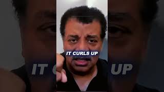 This CREATURE Came FROM SPACE !? 😲 w/ Neil DeGrasse Tyson