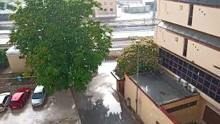 19/08/2024, 🌦️, Pioggia con il sole / Rain with sun, Gioia del Colle, Puglia / Apulia, Italy